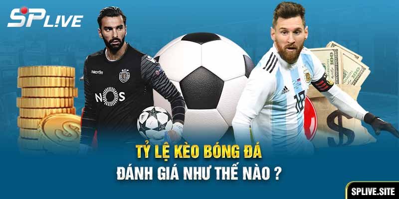 Tỷ lệ kèo bóng đá và Cách đọc kèo tỷ lệ phổ biến hiện nay