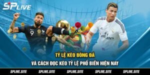 Tỷ lệ kèo bóng đá và Cách đọc kèo phổ biến