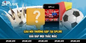 Câu Hỏi Thường Gặp Tại SPLIVE