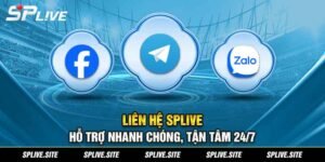 Cách liên hệ splive đơn giản nhất