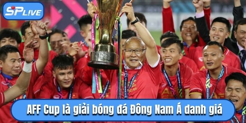AFF Cup là giải bóng đá Đông Nam Á danh giá