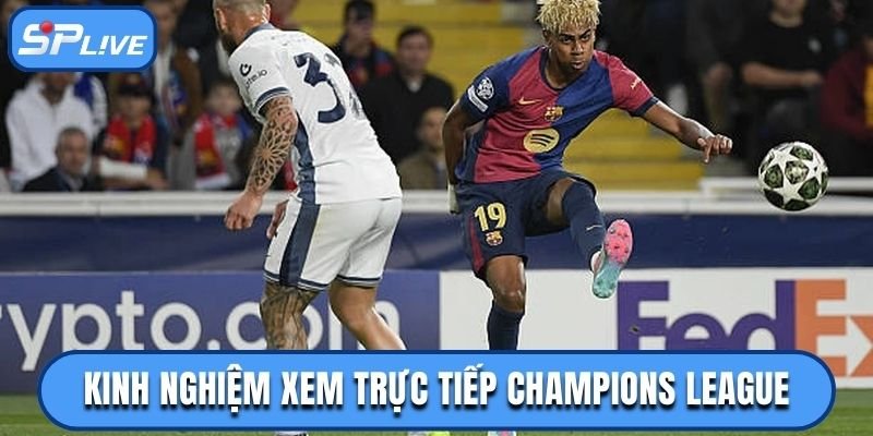 Bí quyết cược khi xem trực tiếp Champions League