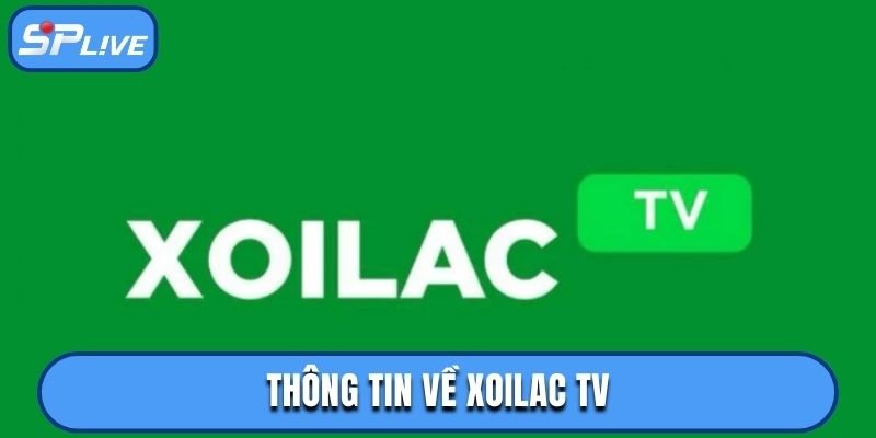 So sánh hệ thống Xoilac TV