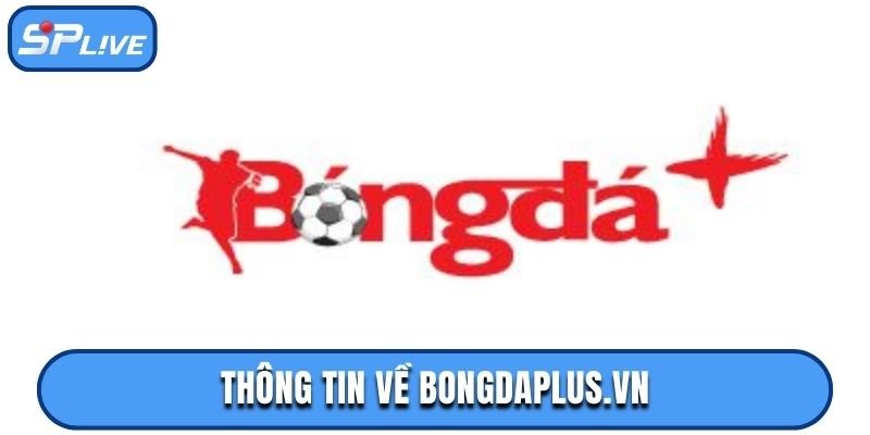 So sánh nền tảng bongdaplus.vn