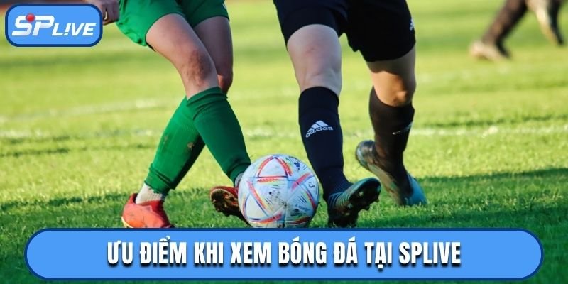 Ưu điểm khi xem bóng đá tại SPLIVE